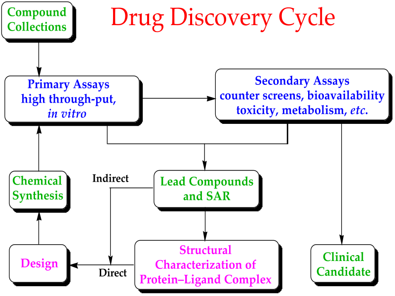 drugDiscoveryCycle.png