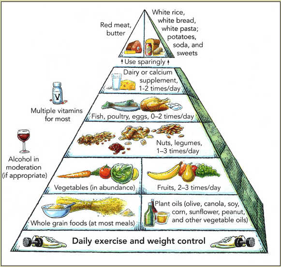 foodPyramid.jpg