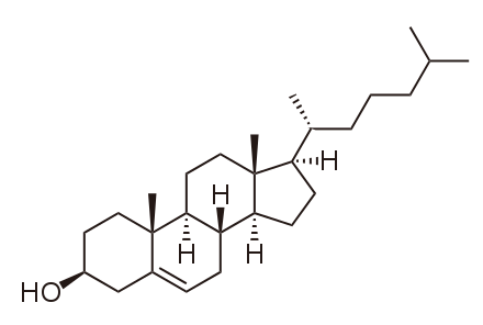 cholesterol.png