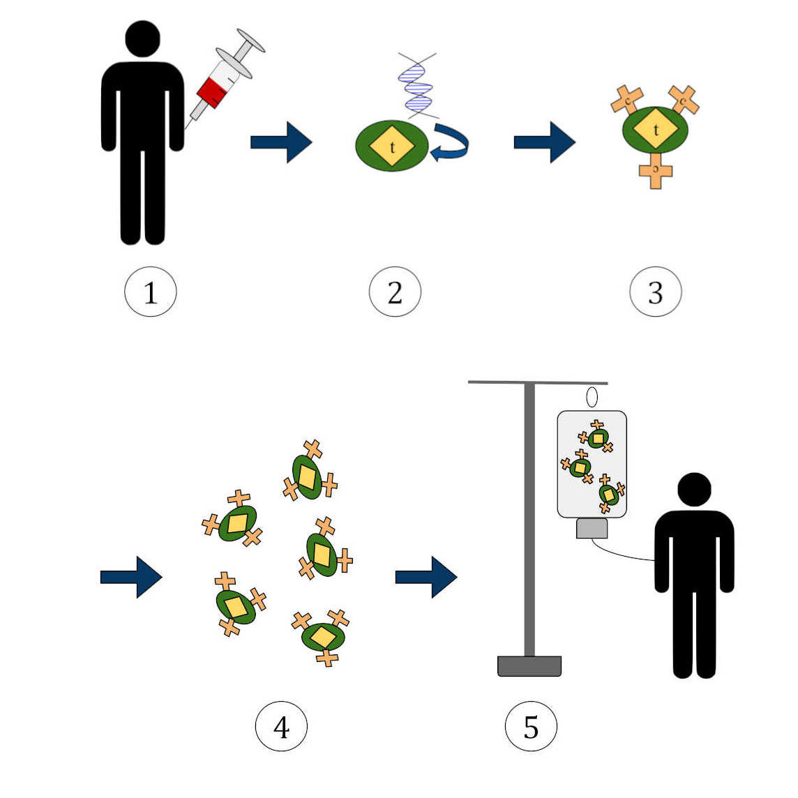 immunoTherapy.jpg