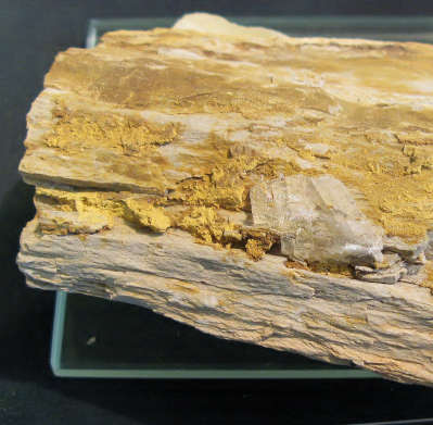 woodPetrified.jpg