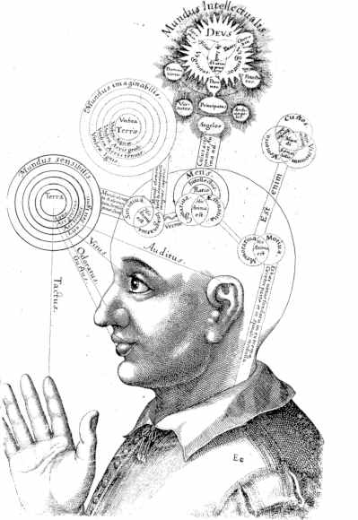 cognition.jpg
