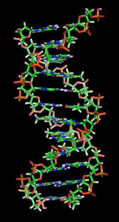 doubleHelix.jpg