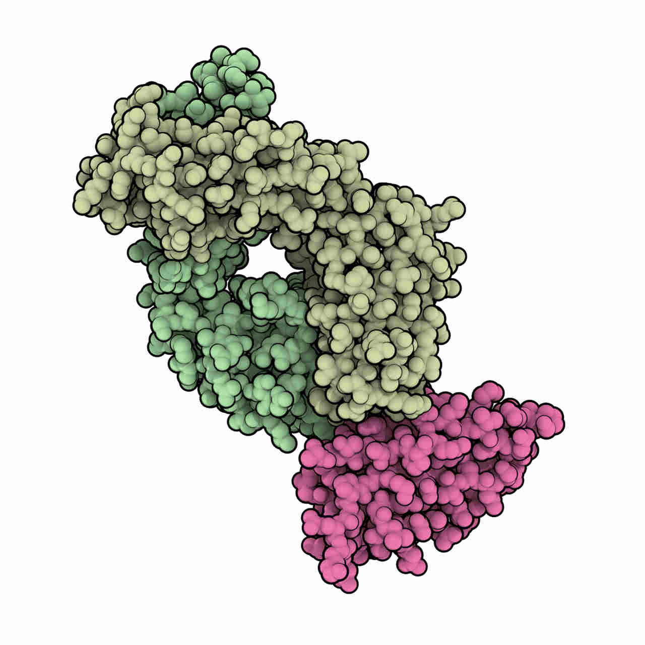 durvalumab.jpg