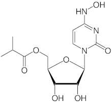 molnupiravir.jpg
