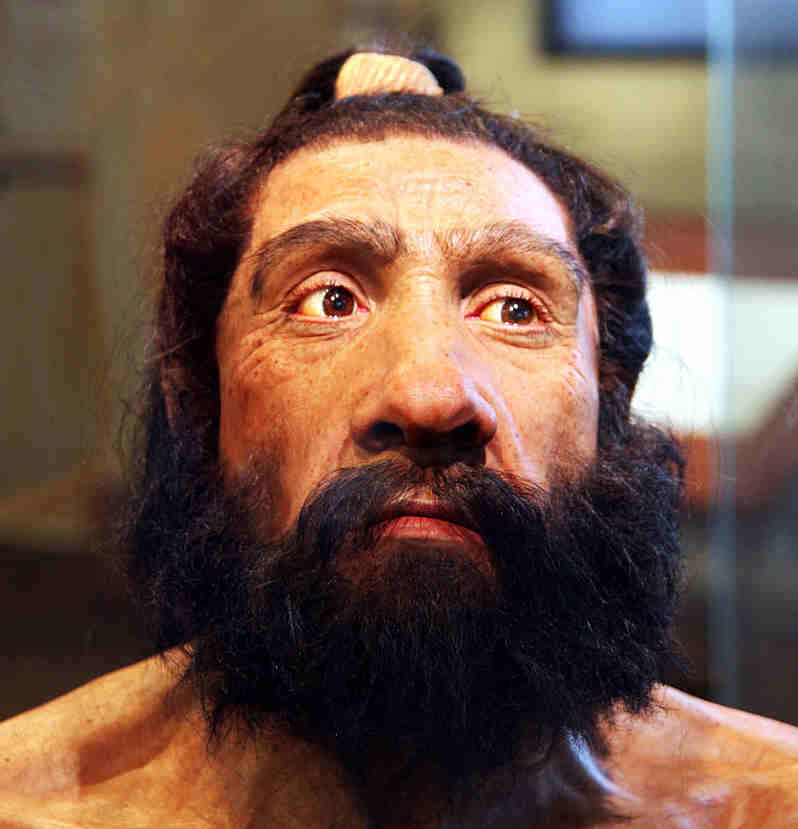 neanderthal.jpg