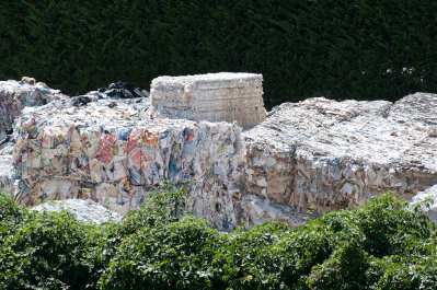 paperRecycling.jpg