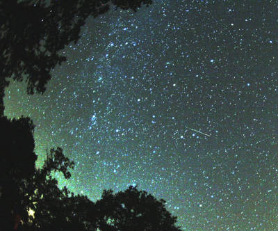 perseids.jpg