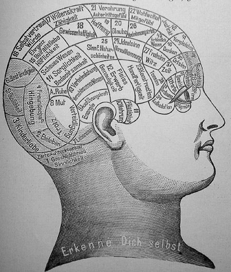 phrenology.jpg