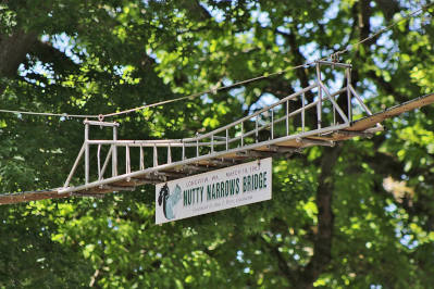 squirrelBridge.jpg