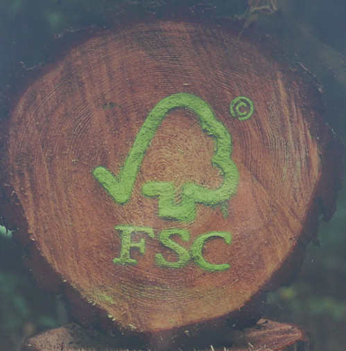 sustainability.jpg