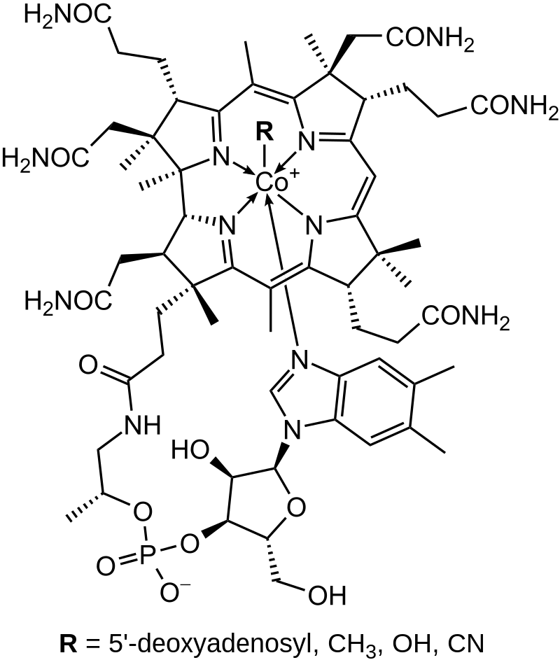 vitaminB12.png