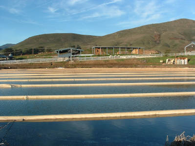 wasteWater.jpg
