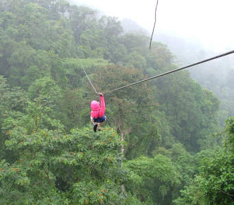 zipLine.jpg